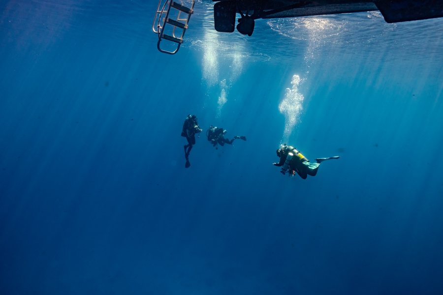 TCRMP research divers